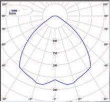  ������ ���� �����